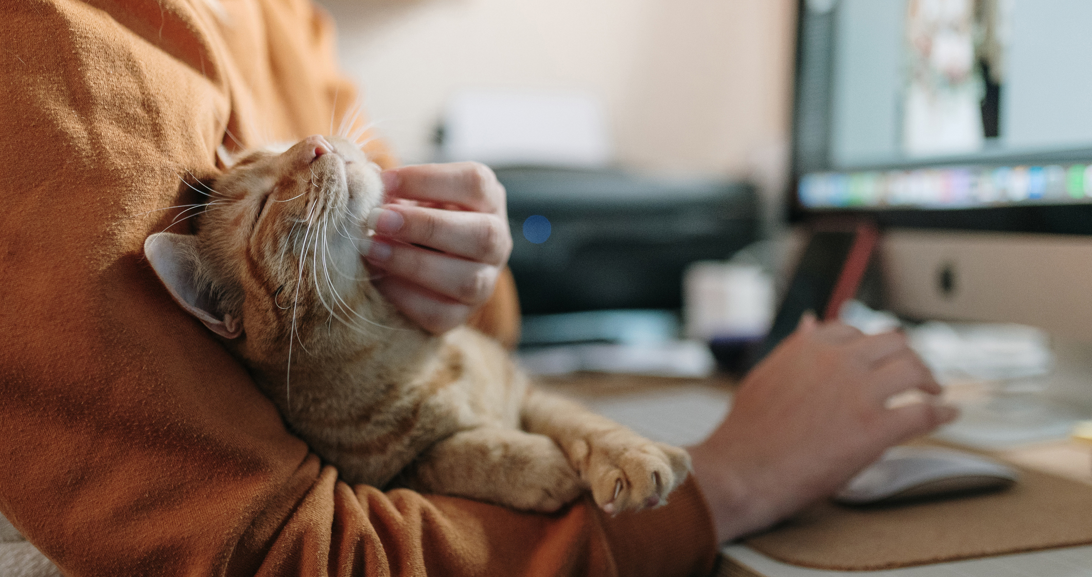 “Pointers” On Pet-Friendly Workplace Policies
