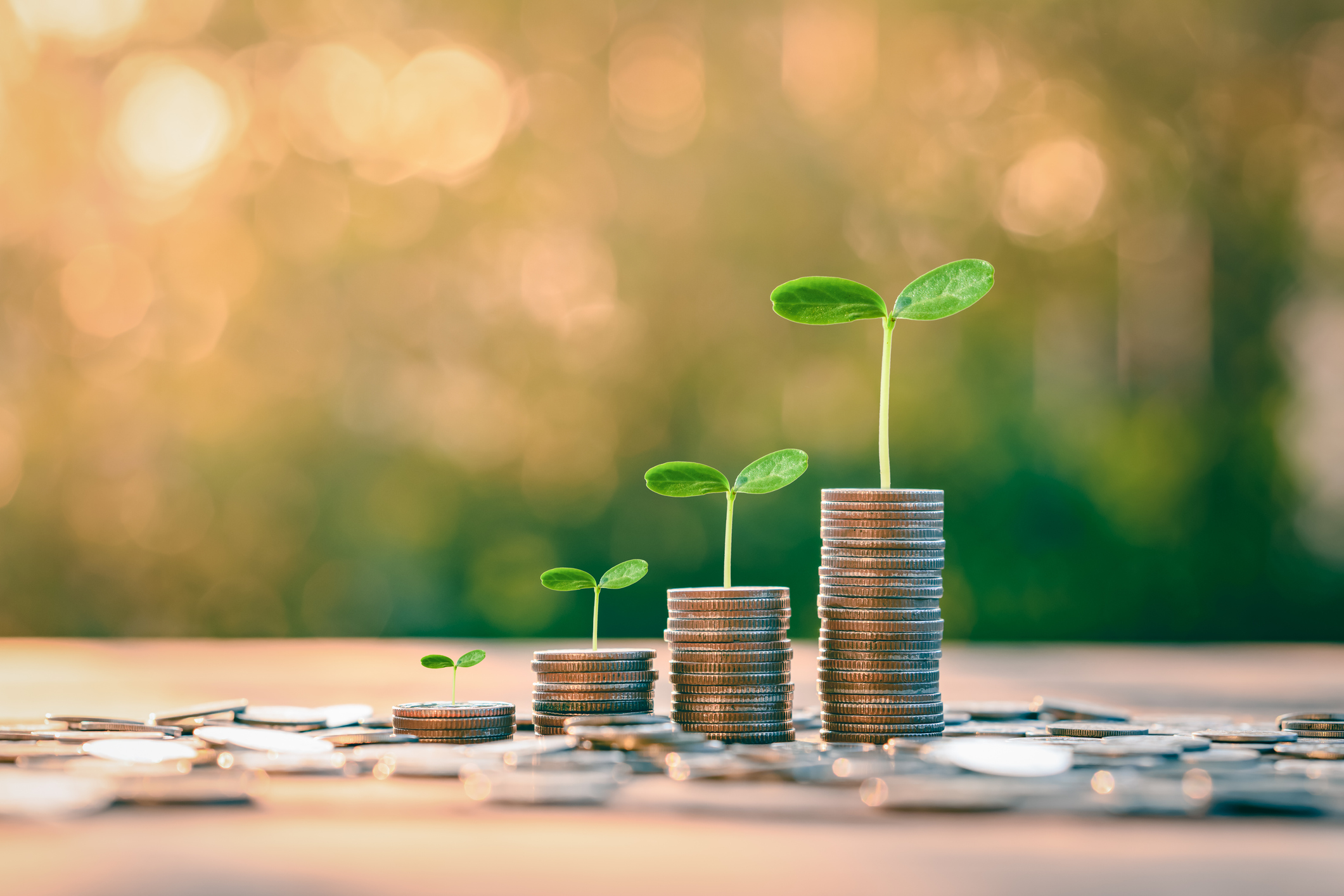 ESG Investments: The Right Way to Update Your Employee Retirement Plan