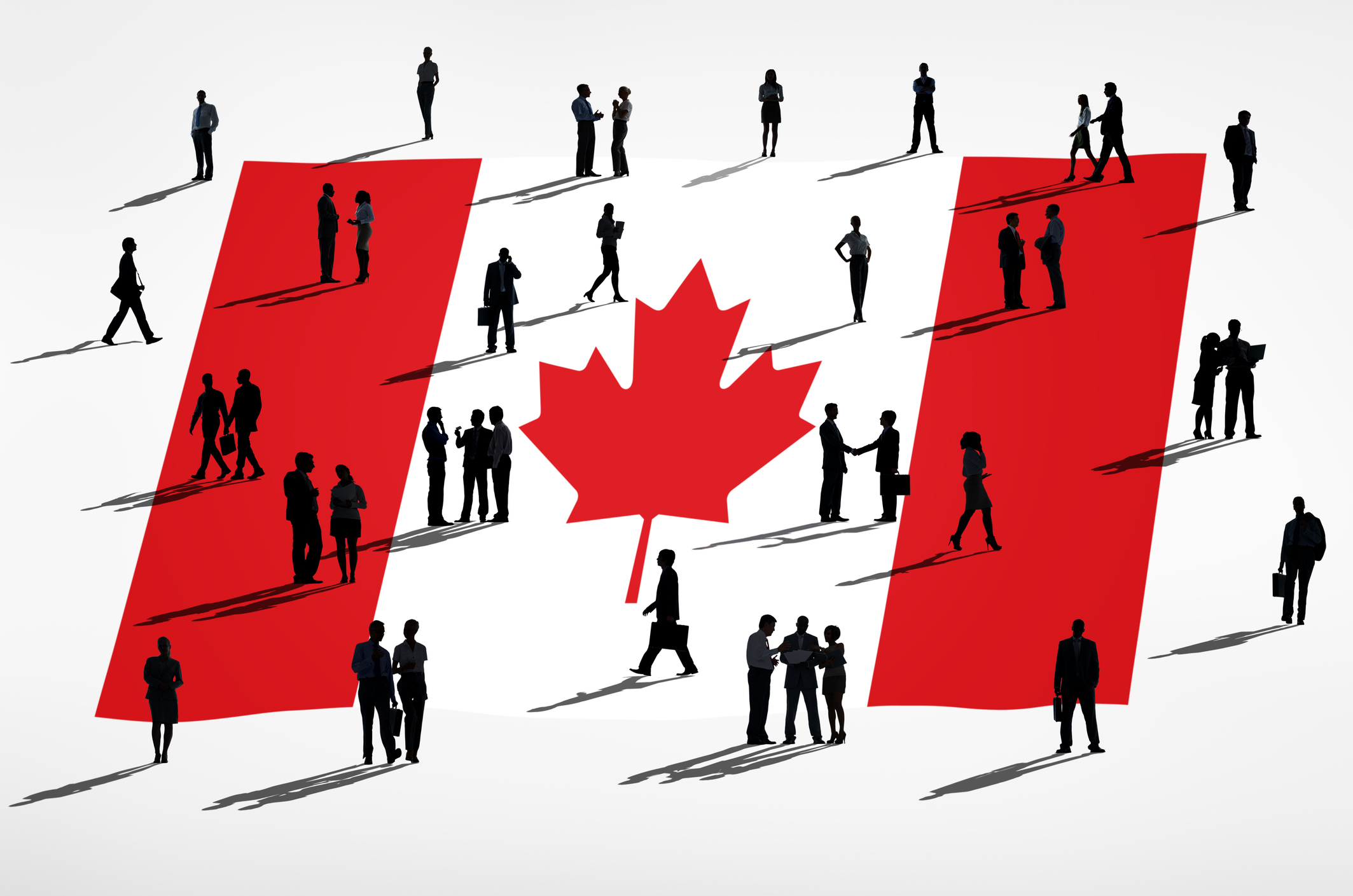 Assessment of the Canadian Workforce and the Solution to Precarious Employment