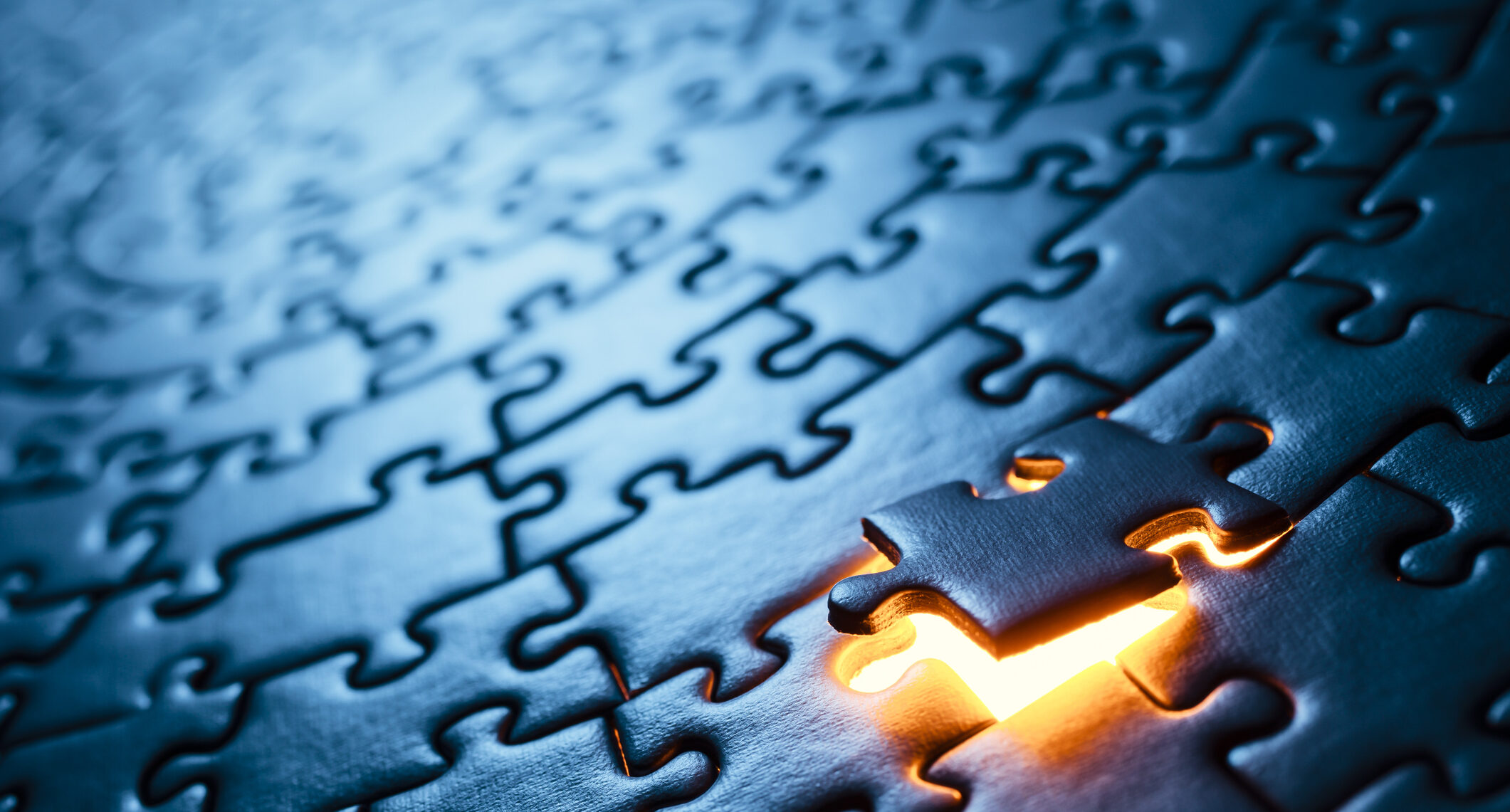 Tackling Problems Like a Puzzle with CPHR BC & Yukon Board Member Michele Matthews