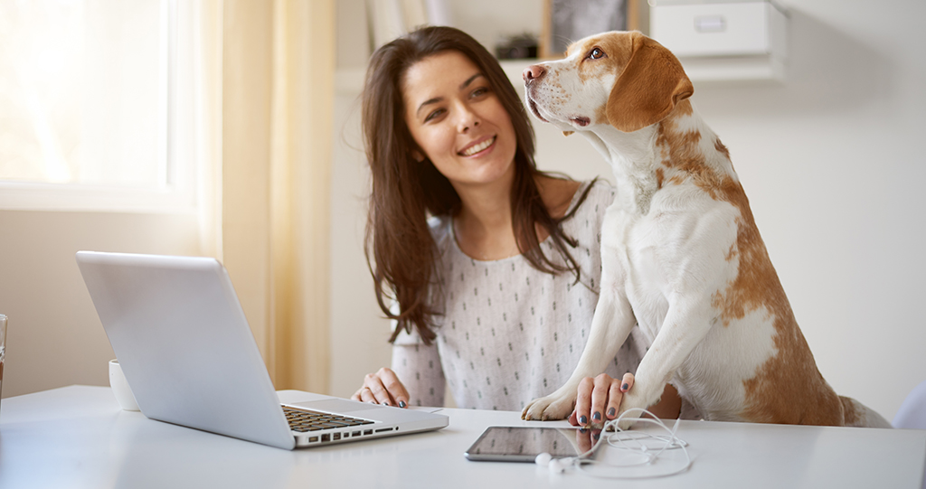 3 Success Stories of Organizations Embracing a Remote Workplace